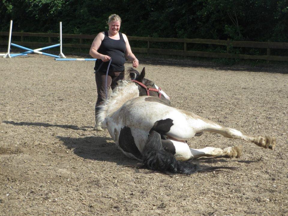 Tinker Nico - dejligt med en rulletur efter spring  billede 11