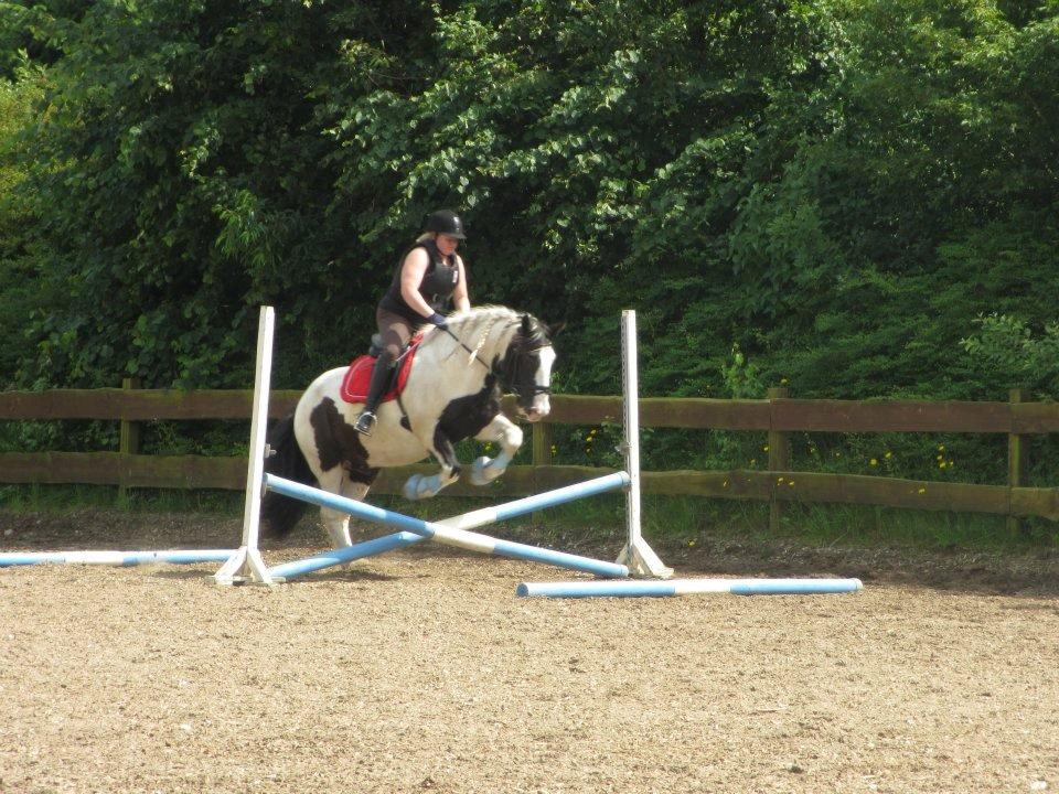 Tinker Nico - uh vi springer  billede 12