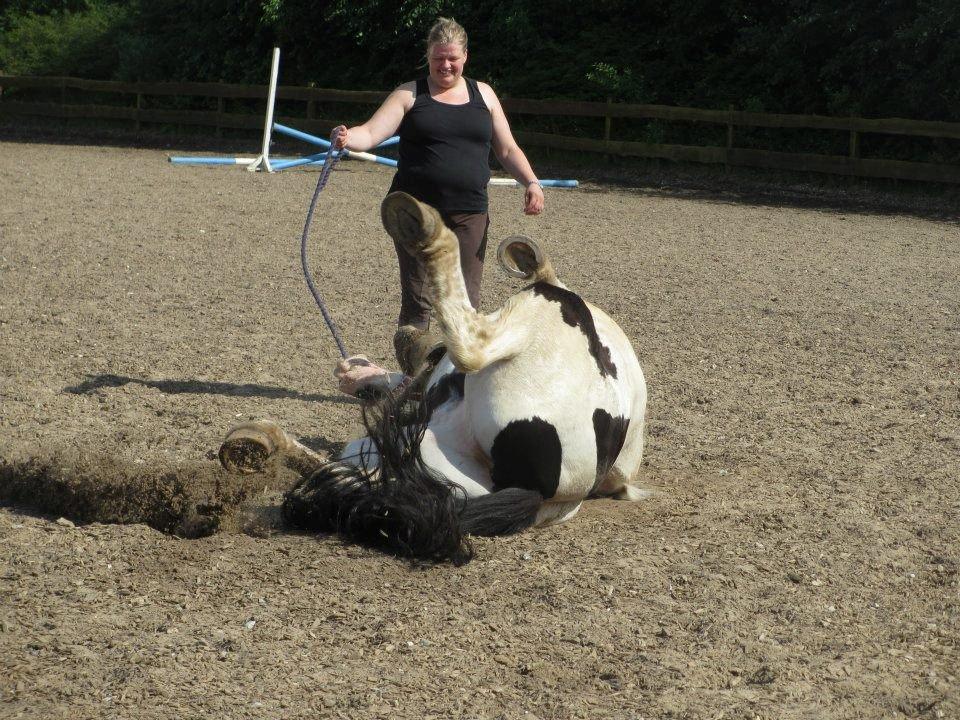 Tinker Nico billede 13