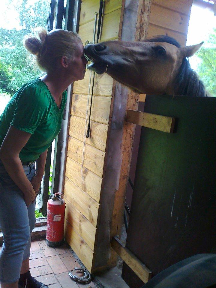 Anden særlig race Unica star billede 22