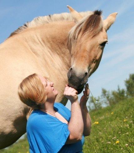 Fjordhest Tamra ~ Pensioneret ~ Rip min smukke engel - Vi var så heldige at der var en rigtig sød staldveninde der godt ville tage nogle billeder (billedet er taget i magretelunden d 21.6.2012)  billede 20