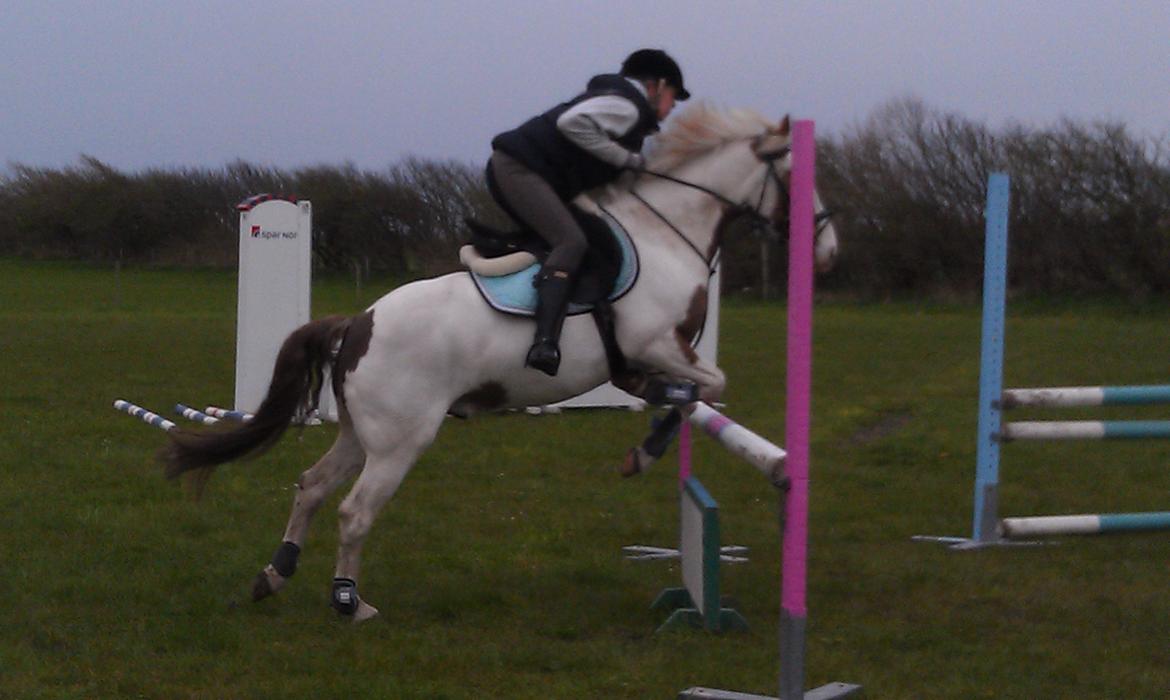 Paint Rosenlyst´s Shane!<3 (Bertil) billede 13