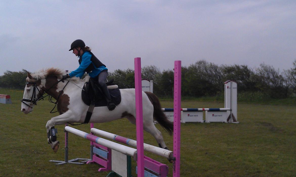 Paint Rosenlyst´s Shane!<3 (Bertil) billede 16