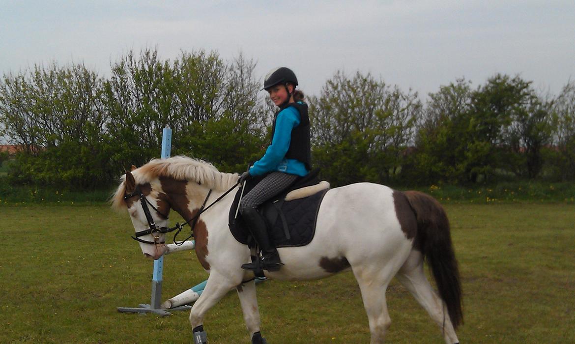 Paint Rosenlyst´s Shane!<3 (Bertil) billede 17