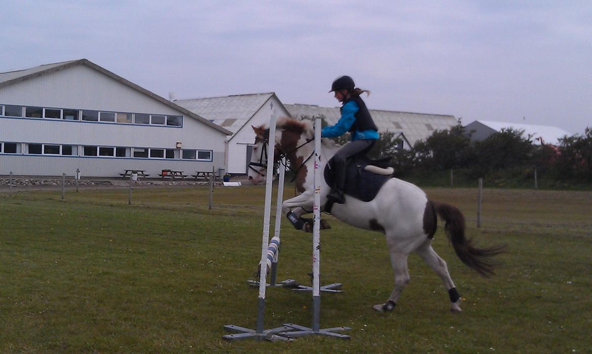 Paint Rosenlyst´s Shane!<3 (Bertil) billede 1