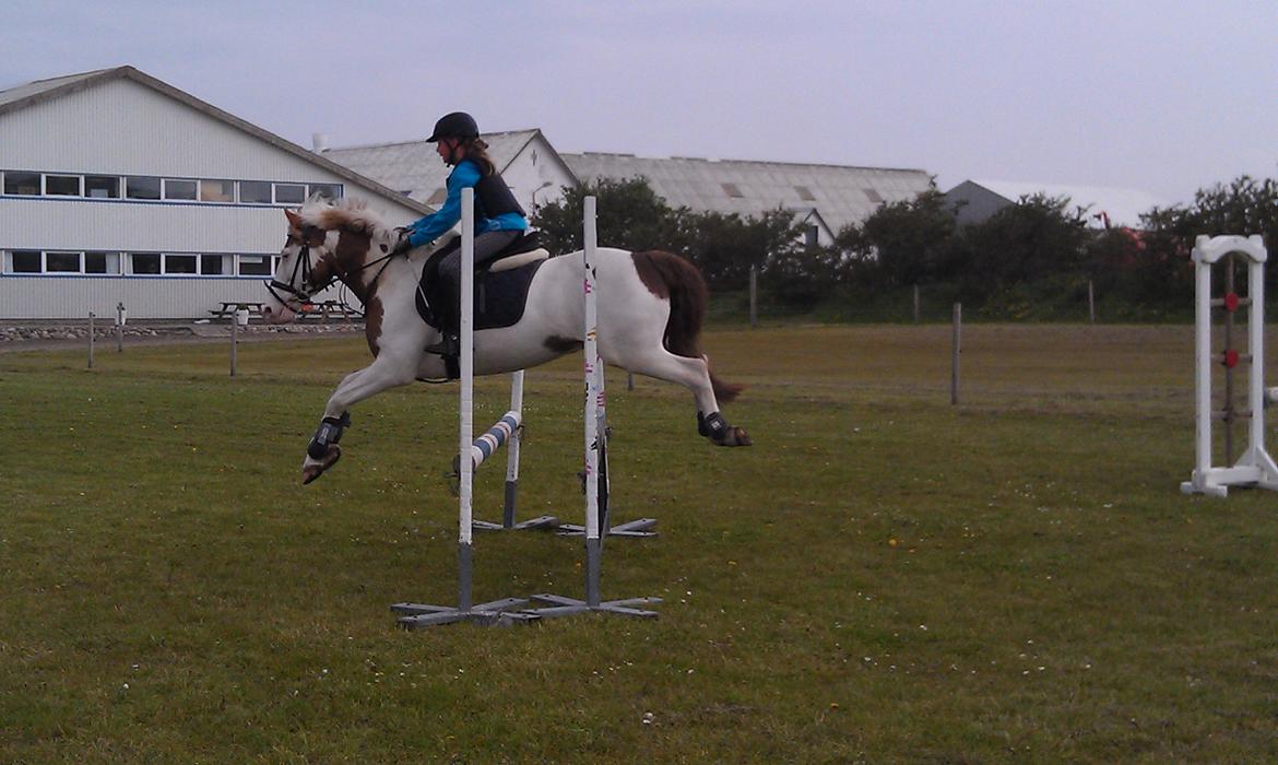 Paint Rosenlyst´s Shane!<3 (Bertil) billede 18