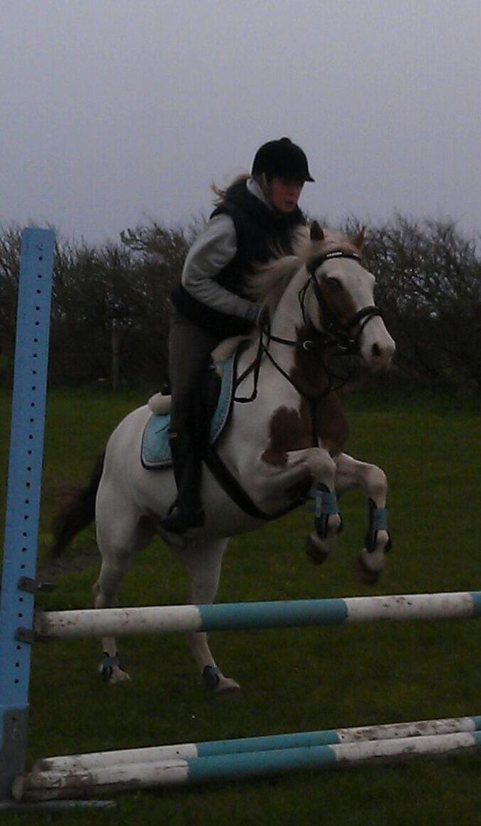 Paint Rosenlyst´s Shane!<3 (Bertil) - Fia<3 billede 20