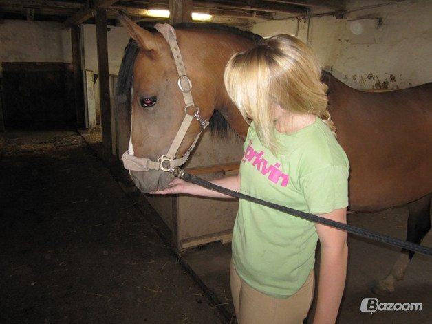 Anden særlig race † Miss Caya † billede 5