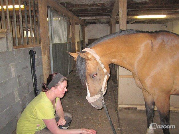 Anden særlig race † Miss Caya † billede 9