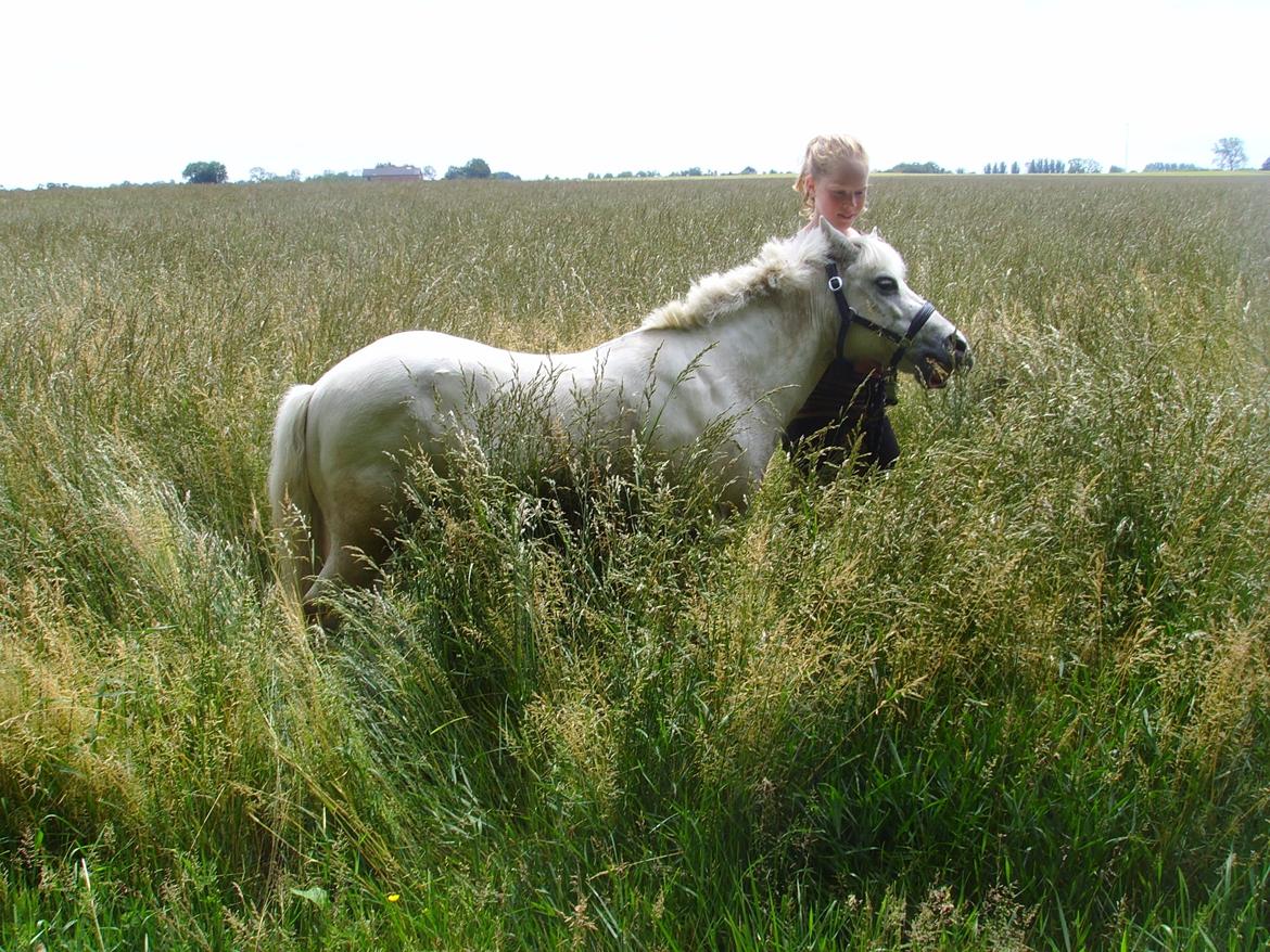 Anden særlig race Kasper billede 13
