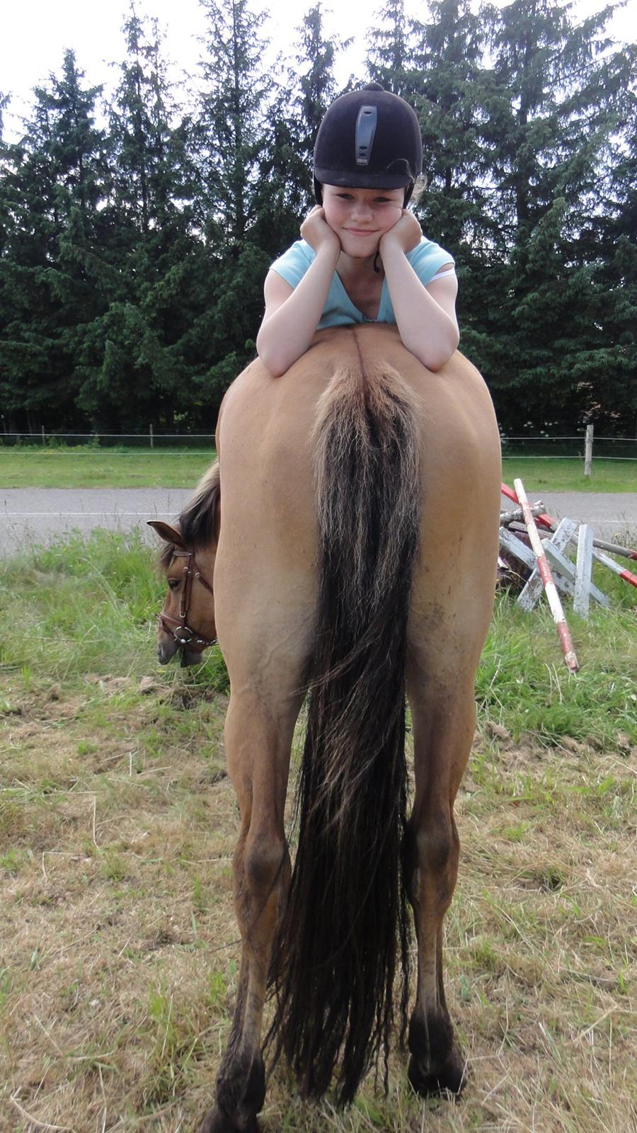 Anden særlig race Mon Chéri - 3,5 år gammel - rolig og DEJLIG billede 16