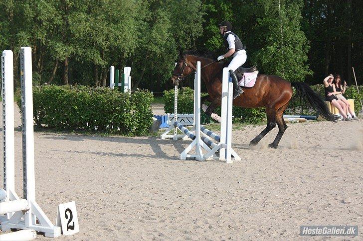 Oldenborg Molly :'(<3 billede 3