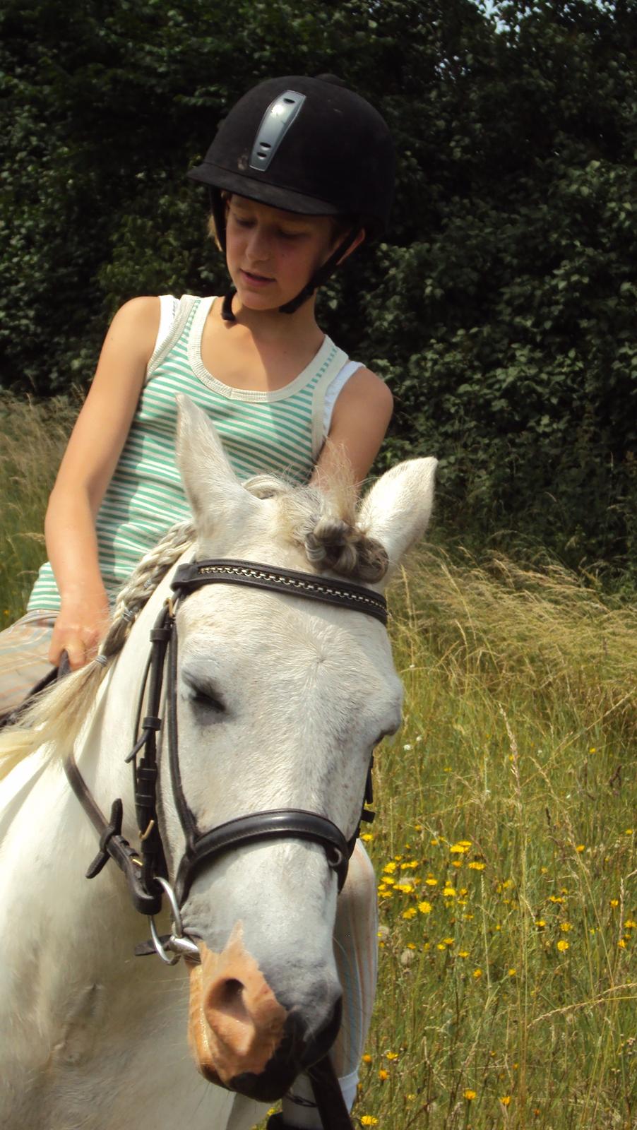 Anden særlig race Hannibal  - Siff og Hannibal på den gamle ridebane :-)
<br>
<br>
Foto: Mig :-) billede 19