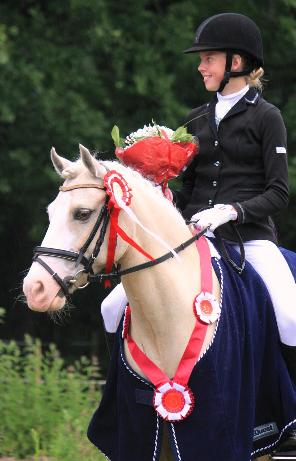 Welsh Pony af Cob-type (sec C) Rosengårdens Nakuma - 20# Louise & Nakuma - vindere af D2's distriktsmesterskab i dressur for kat. 3 i 2012! :) D. 24/6-12. Foto: Mig billede 20