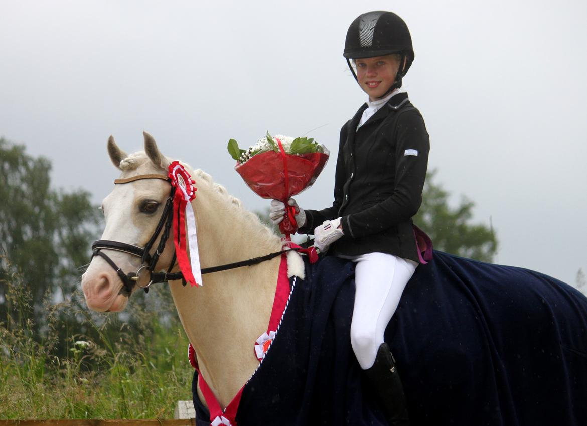 Welsh Pony af Cob-type (sec C) Rosengårdens Nakuma - Velkommen til Nakuma's profil! Her er Louise & Nakuma lige blevet distriktsmestre 2012 med 67,3%! Juni 2012. Foto: Mig billede 1