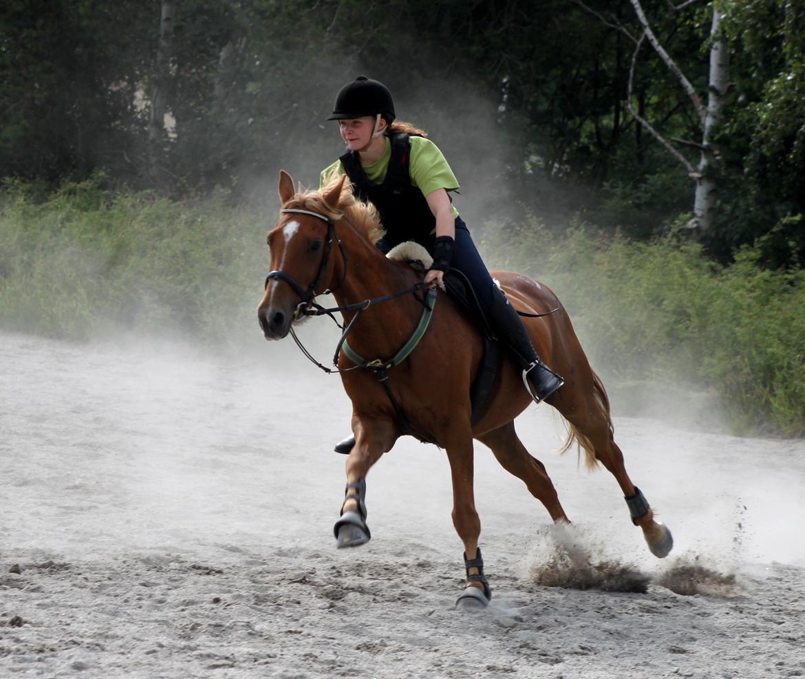 Appaloosa Sequoia van de lorkeershoeve <3 - „Be weird. Be random. Be who you are. Because you will never know, who would love the person you hide.“
ridelejr HUR 2012:) 
foto: Maria Schjerning billede 19