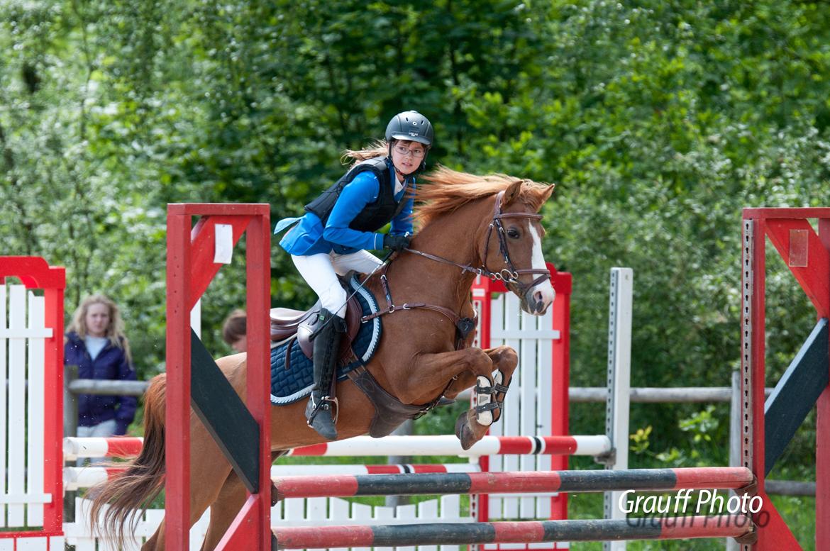Hollandsk Sportspony Orchid´s Mirabile<3 A-pony - Landsstævne i Herning billede 9