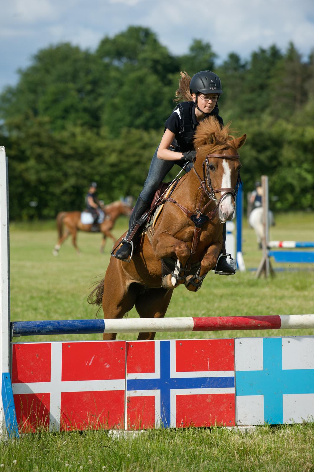 Hollandsk Sportspony Orchid´s Mirabile<3 A-pony billede 11