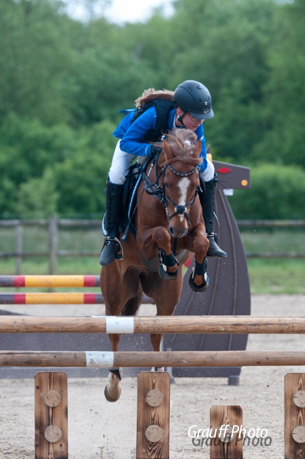 Anden særlig race Bakkegaardens Bailey<3 A-pony - Landsstævne Herning MA** billede 19