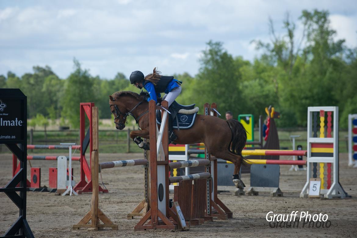 Anden særlig race Bakkegaardens Bailey<3 A-pony - Herning landsstævne
MA** billede 14