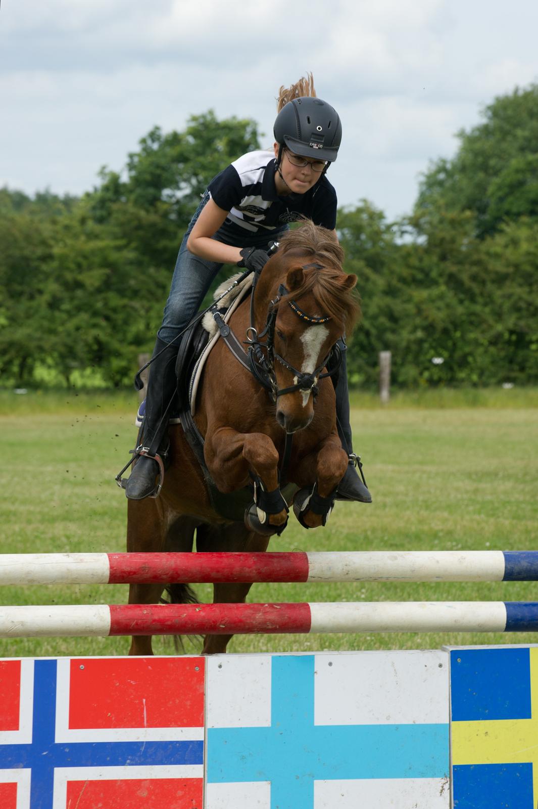 Anden særlig race Bakkegaardens Bailey<3 A-pony - Stald Grauff ridelejr 2012 billede 15