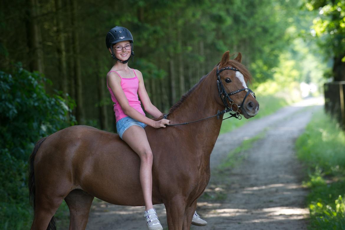 Anden særlig race Bakkegaardens Bailey<3 A-pony billede 16