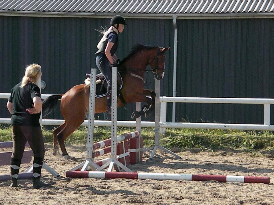 DSP Thorups Andiamo (Anker) B-pony - Ridelejr 2012 SKRK. Spring-undervisning af Linda billede 8