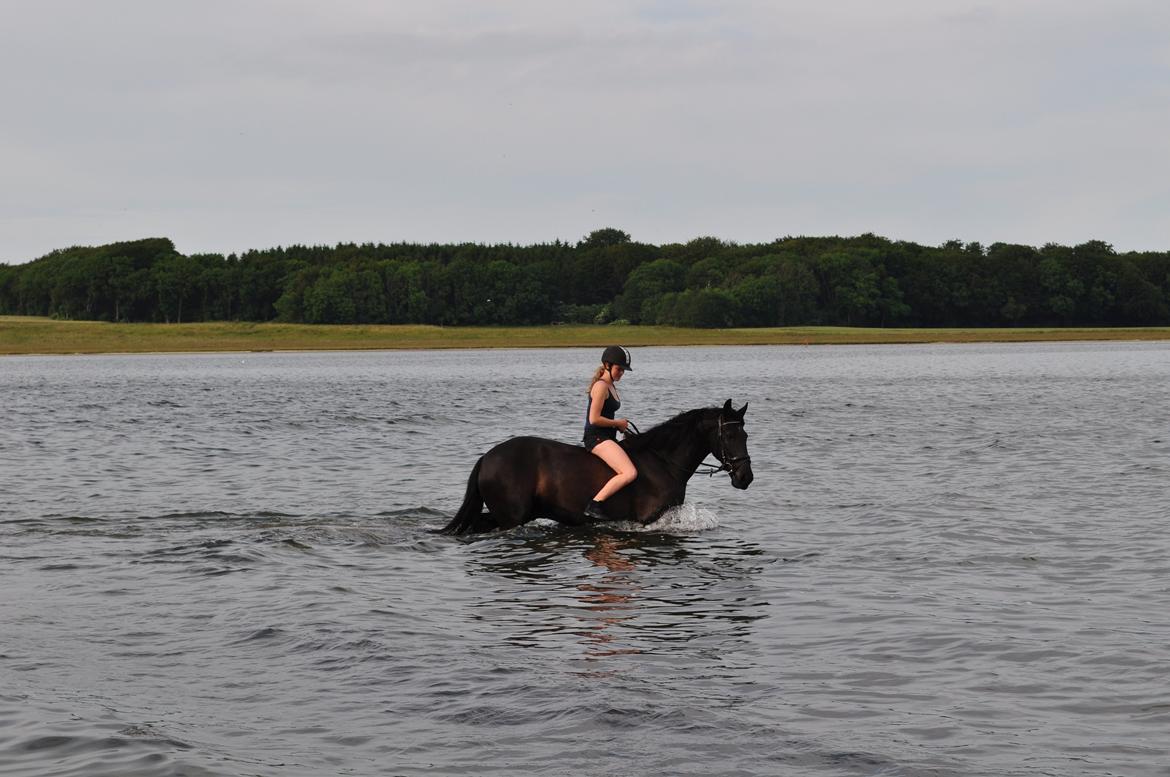 Anden særlig race KJÆRSGAARDS MOONLIGHT - Ved fjorden en dejlig sommerdag d.4. juli 2012 med mor som fotograf :D Så skønt! :D billede 31