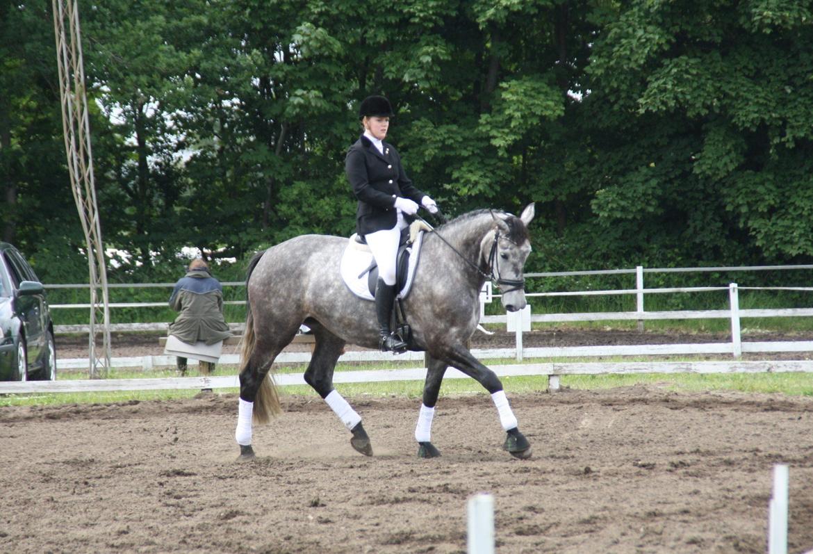 Holstener Castinè - Stævne Bylderup bov, Lb1 og Lb2, henholdsvis, 67,?? og 66,?? % lækker hest! billede 15