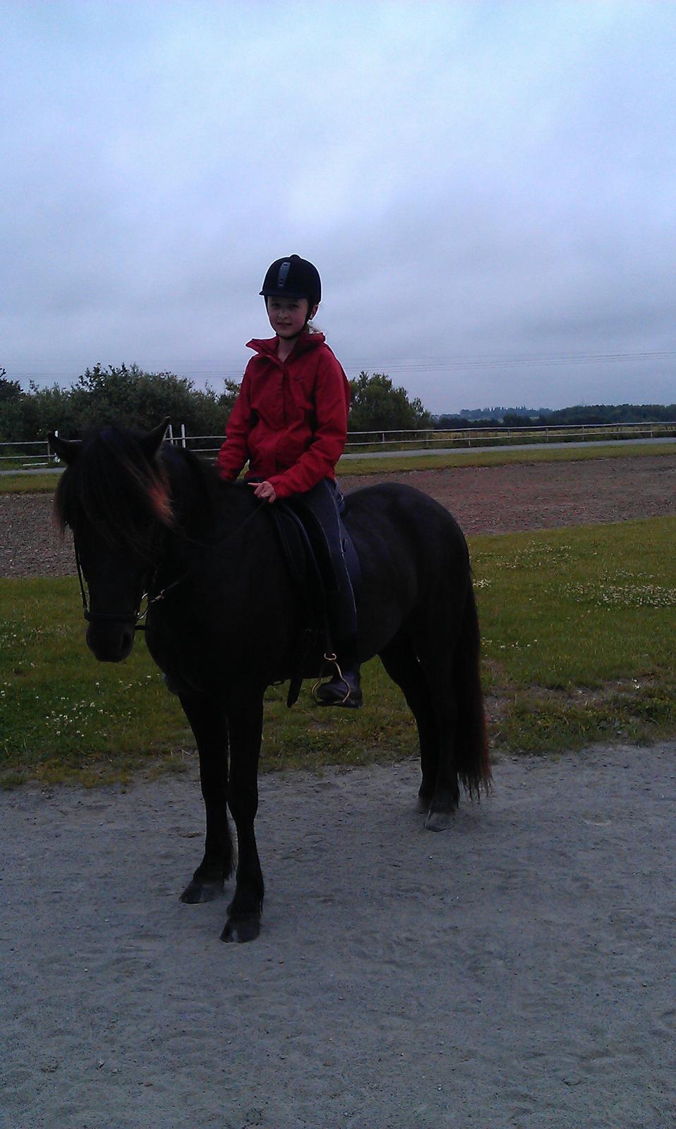 Islænder Nebbi vinkærgård billede 16