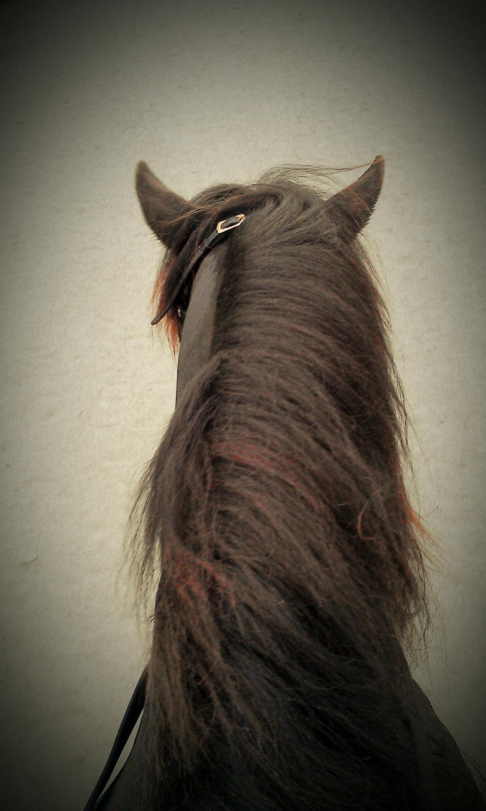 Islænder Nebbi vinkærgård billede 18