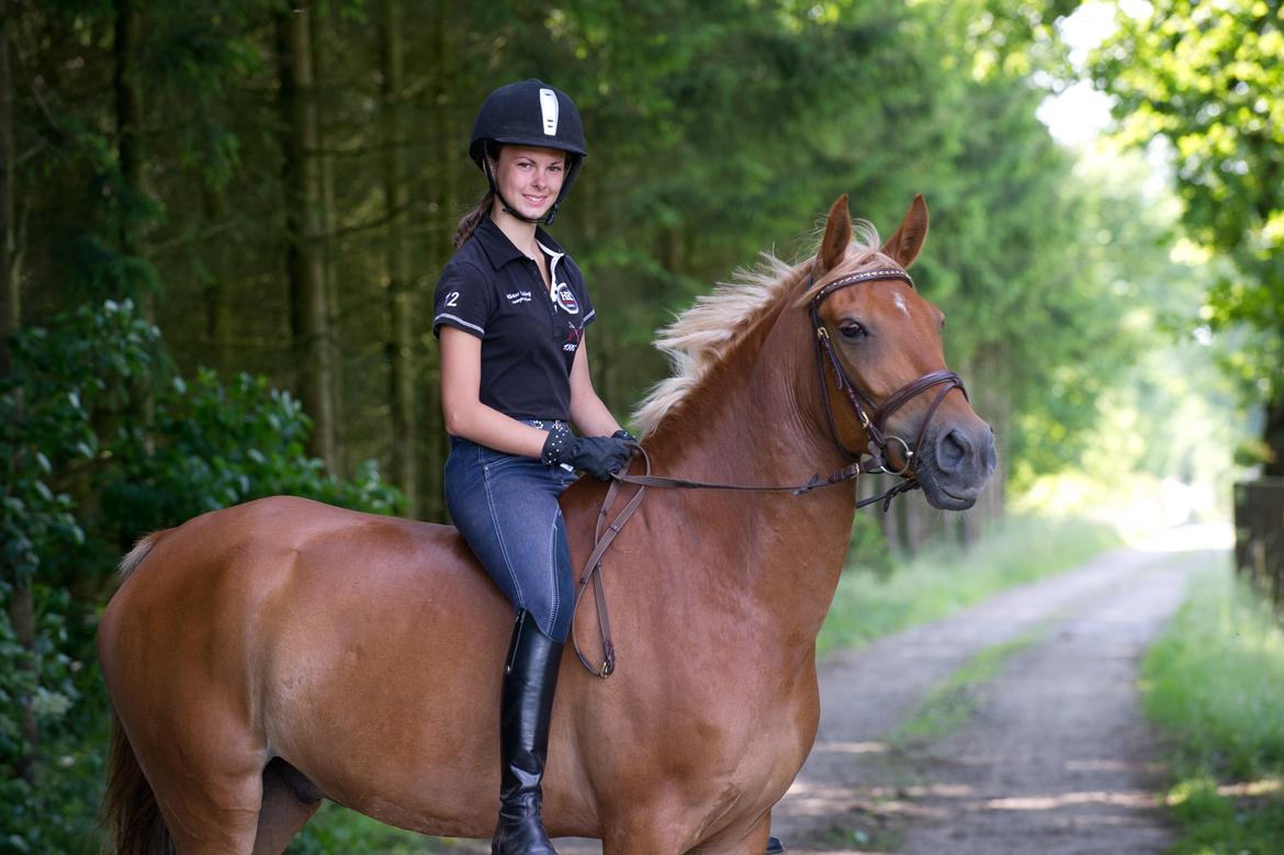 Anden særlig race Diablo (solgt)  - Min skønne pony! billede 1