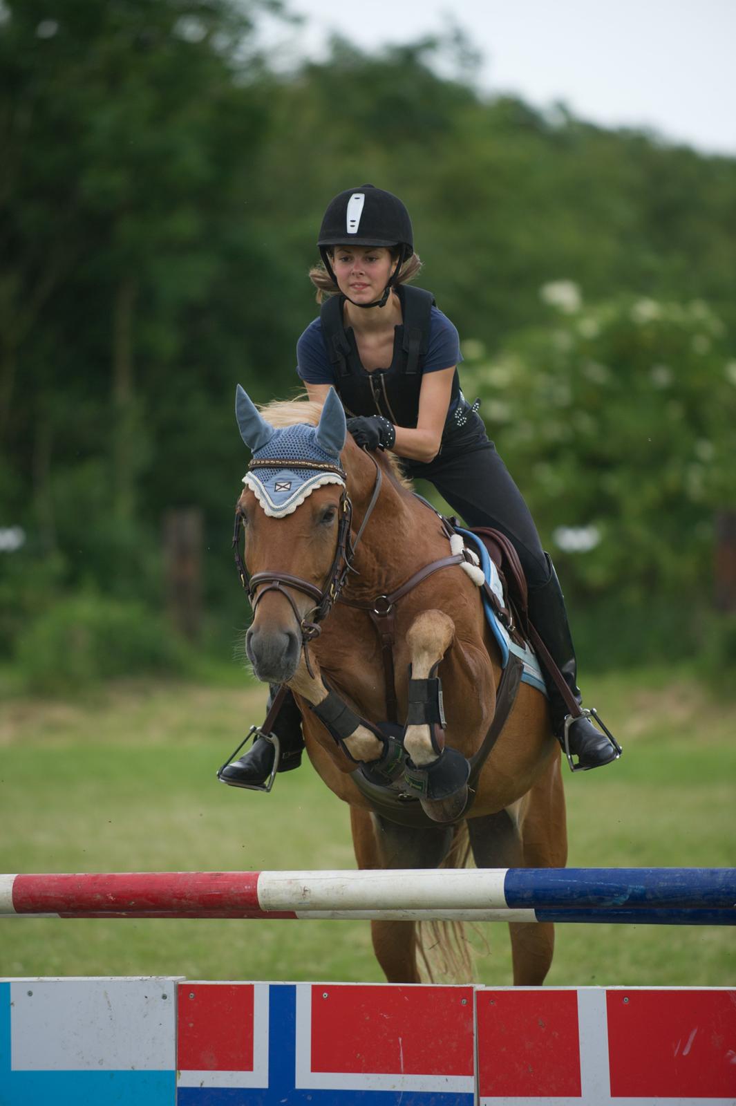 Anden særlig race Diablo (solgt)  - vi er to, men svæver som en! <3
 billede 4