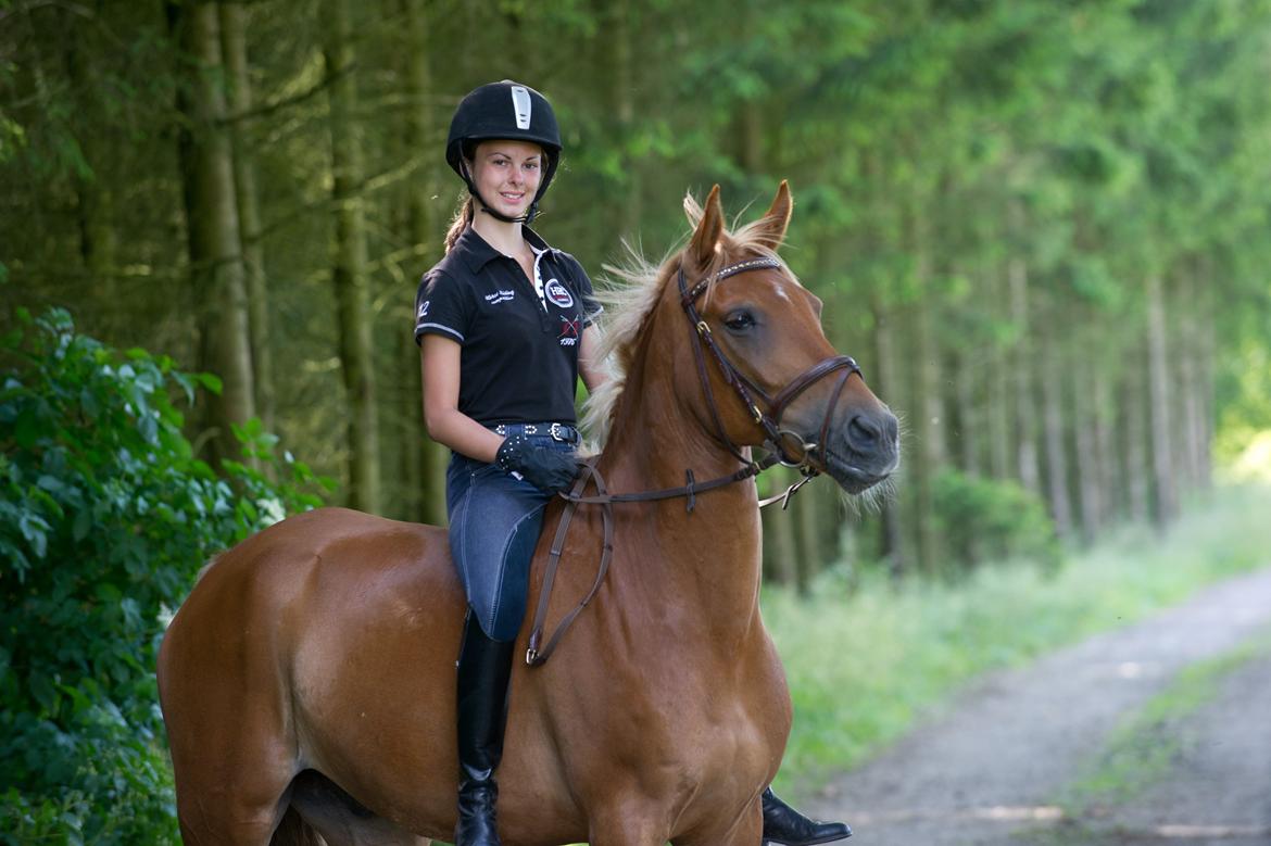 Anden særlig race Diablo (solgt)  - deeeeejlige pony!! billede 5