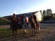 Anden særlig race Diablo (solgt)  - Julie, Sofie og jeg på vores 3 skønne heste. <3 billede 14