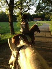 Anden særlig race Diablo (solgt)  - på skovtur med Rabell og Sofie.  billede 17