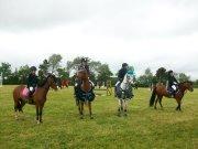 Anden særlig race Diablo (solgt)  - nummer 2 i LC spring. :-D  billede 20