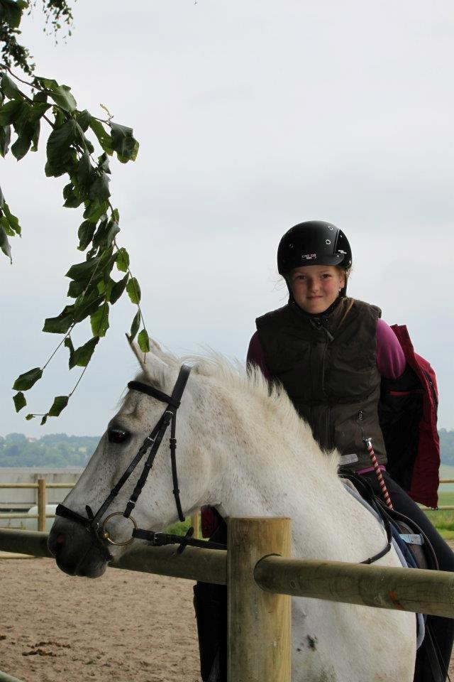 Anden særlig race Luka billede 8