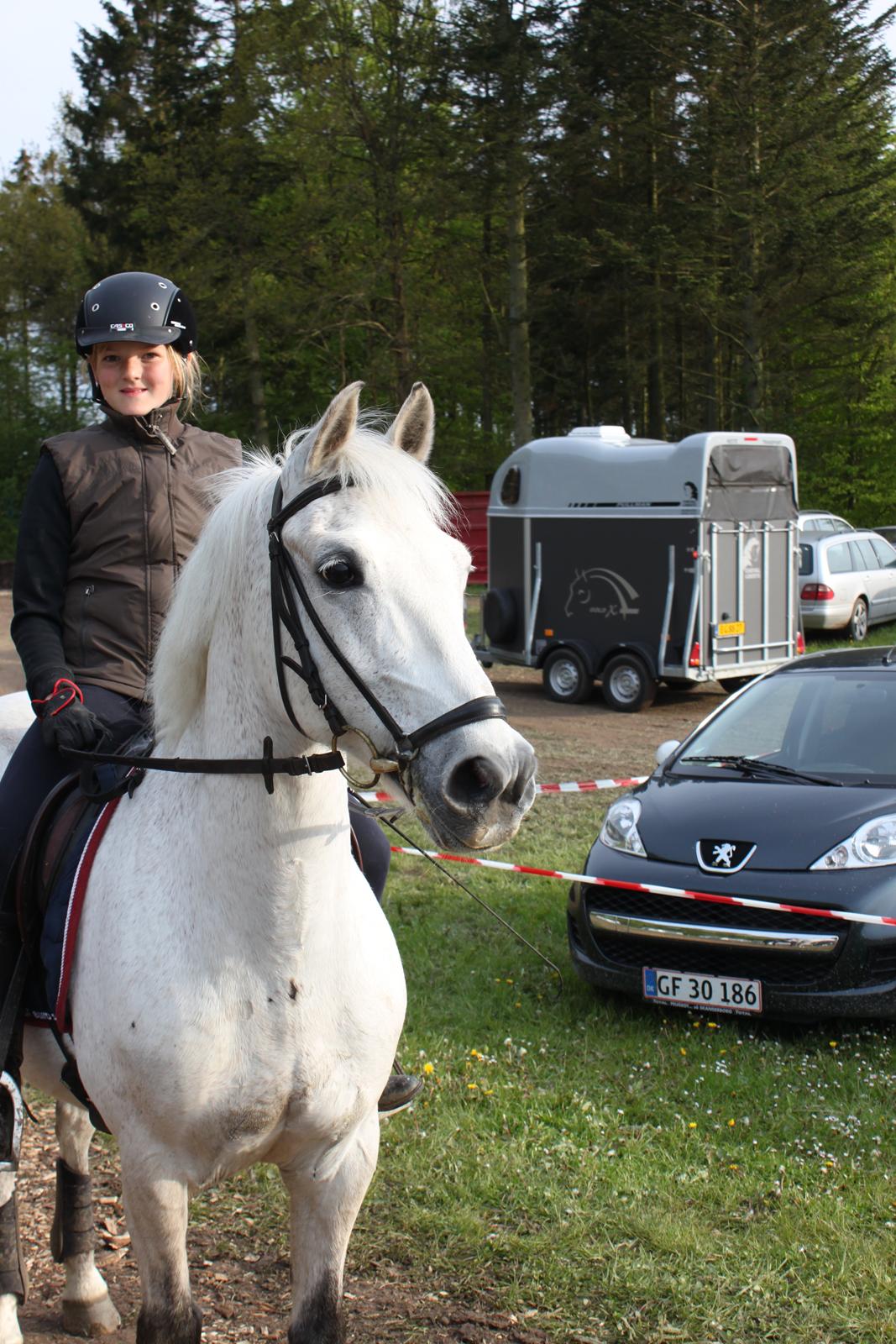 Anden særlig race Luka billede 9