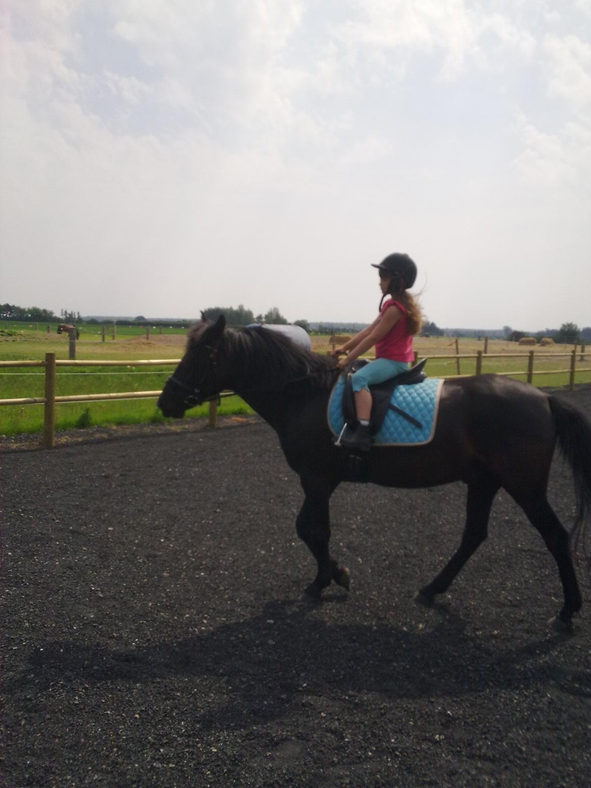 Anden særlig race rivaldo (solgt) billede 2