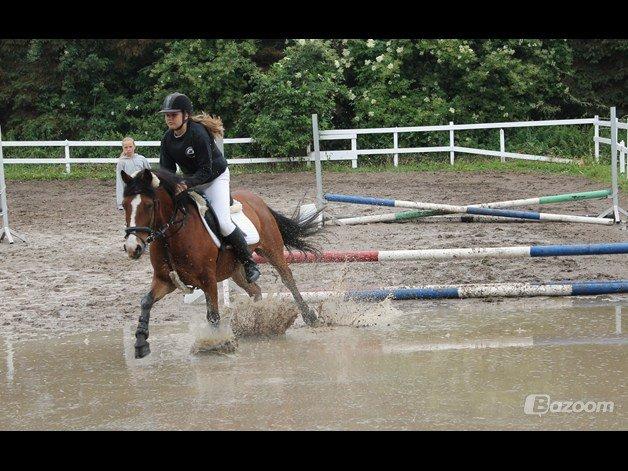 Anden særlig race Benjamin  <3 (savnet :'( <3 ) - Hvis du går gennem livet med et smil, så er der ingenting der kan gå galt.

foto: Frida :) billede 13