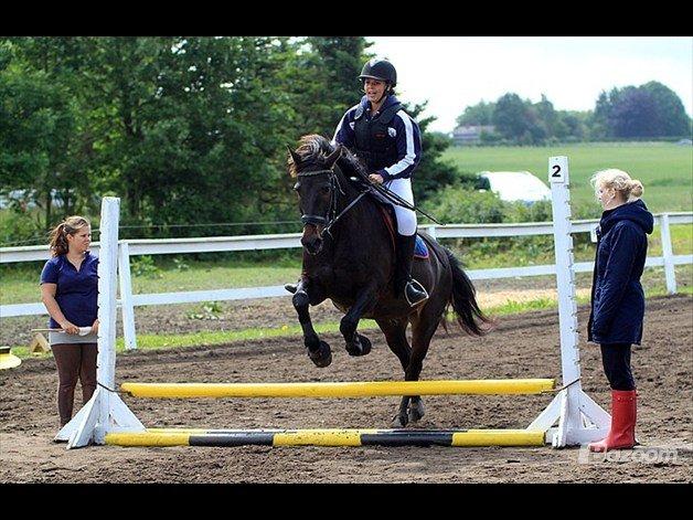 Anden særlig race Mondi - Springstævne på Revelhøj d. 17 Juni 2012 billede 8