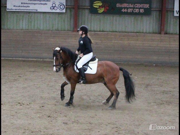 Anden særlig race Benjamin  <3 (savnet :'( <3 ) - Dressur er ikke lige vores stærke side men sjovt var det da :P 

foto: Frida  billede 4