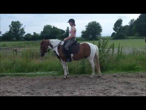 Pinto Lee - Cooper GOLÅ<3solgt - en fin parade kan man også lave:D
foto: Josephine
(taget fra video) billede 18