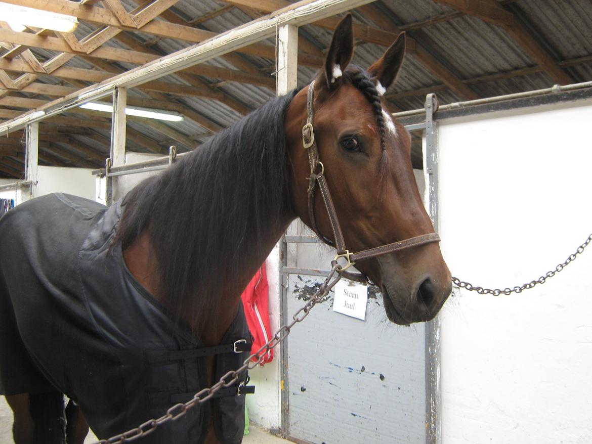 Traver Dillon - Dillon til sin første start hos os billede 18