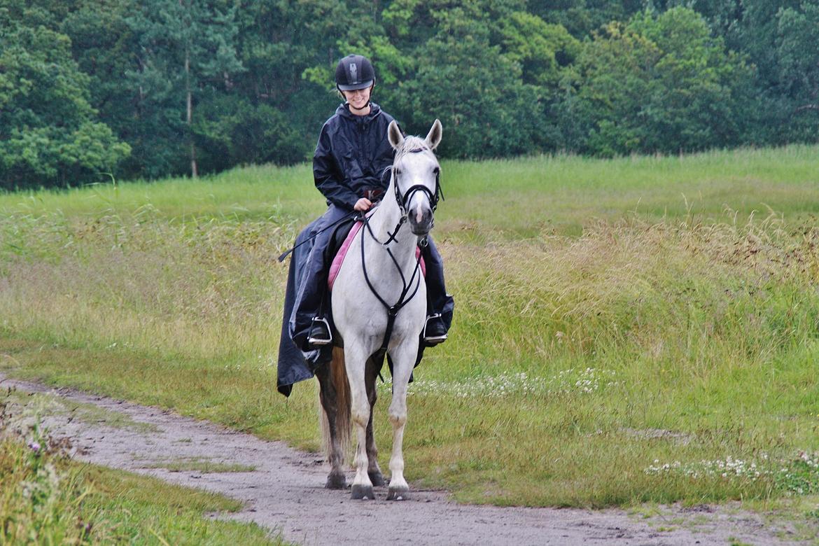 Connemara Mona - Foto: Amalie Lilja Reimer  billede 15