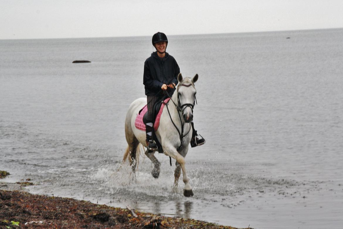 Connemara Mona - Foto: Amalie Lilja Reimer billede 2