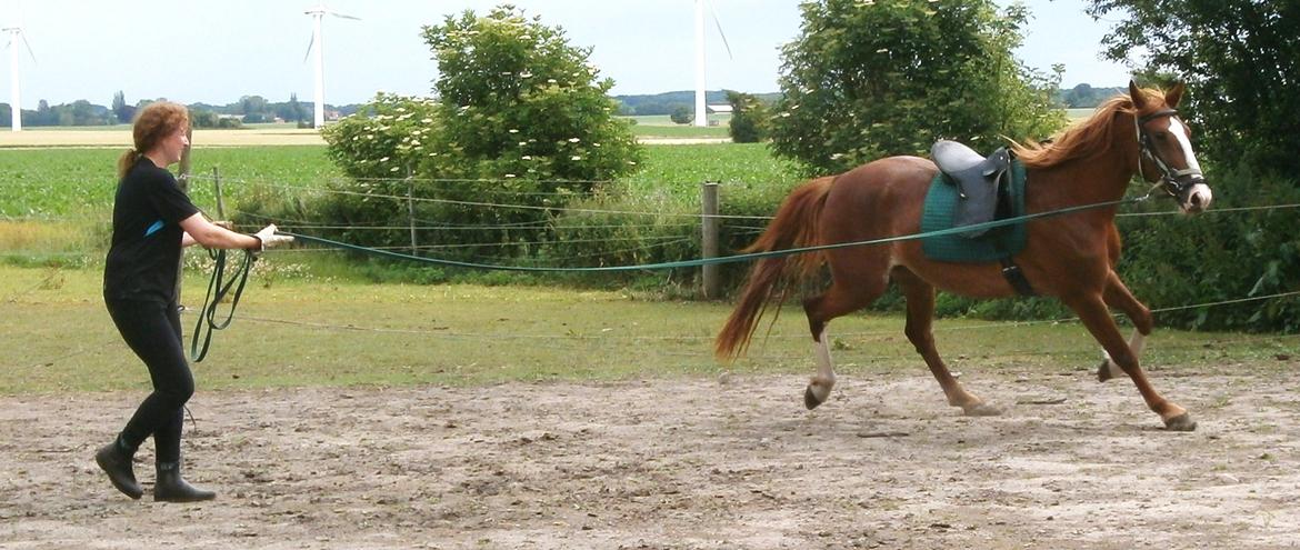 Frederiksborg Pricella billede 4
