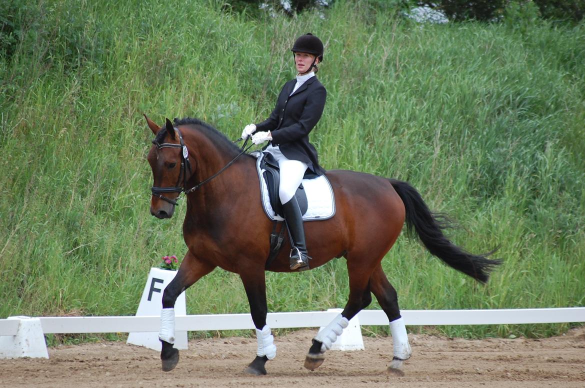 Oldenborg Taison billede 12