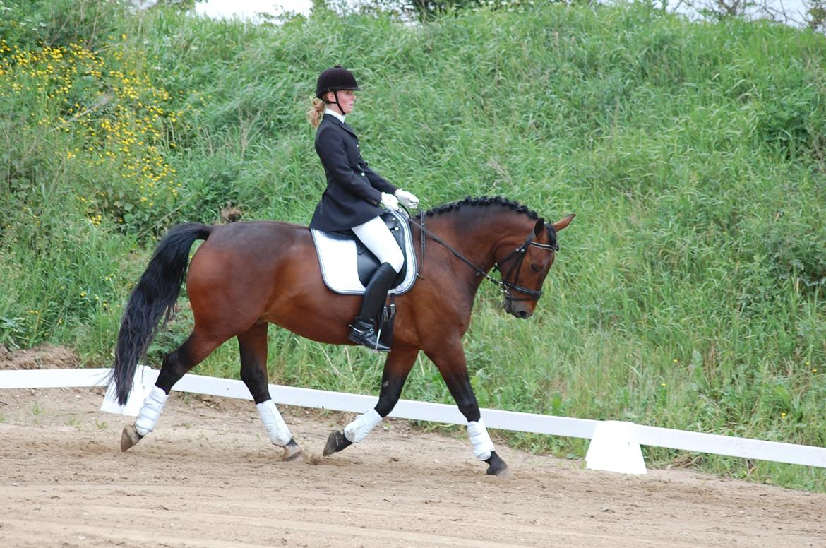 Oldenborg Taison billede 13